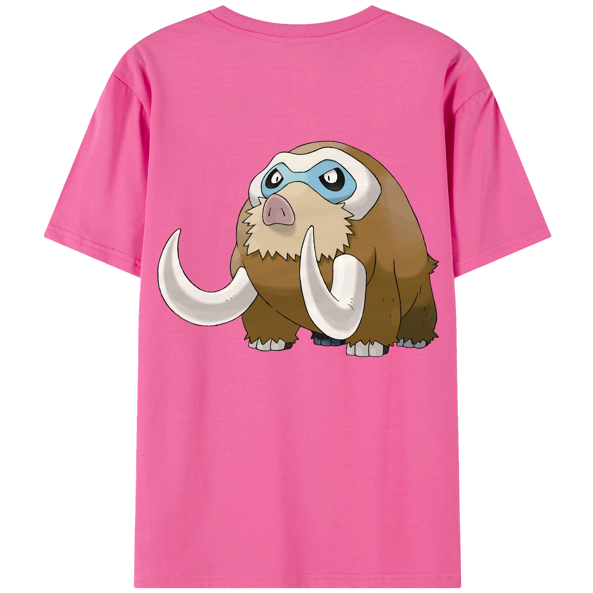 （画像用） ポケットモンスター Pokémon レディース半袖Tシャツ(バックプリント)